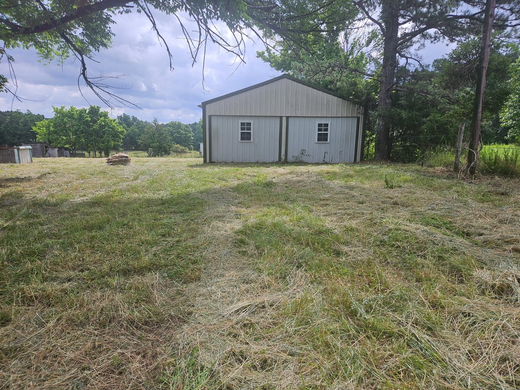 Picture 5