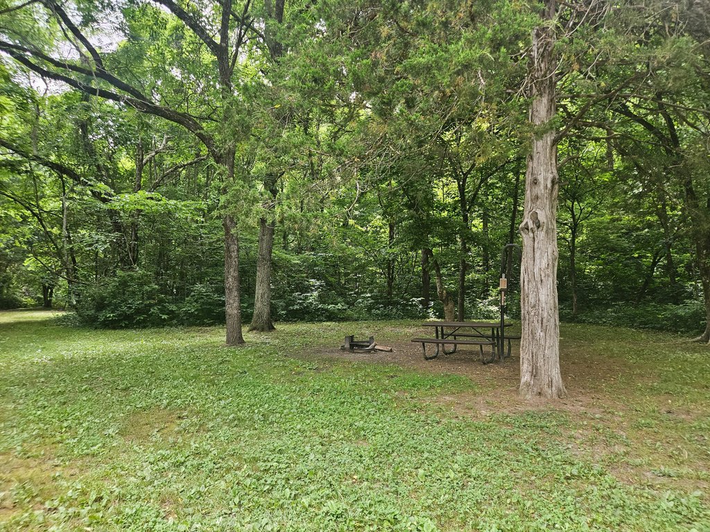 Picture 23