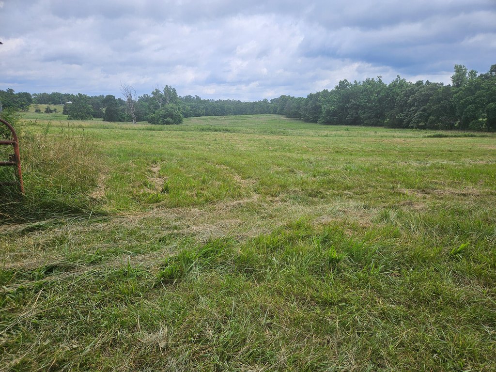 Picture 12