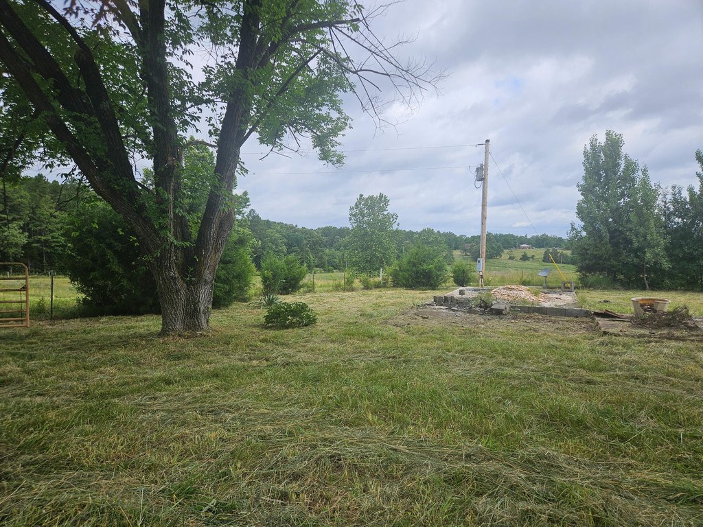 Picture 14