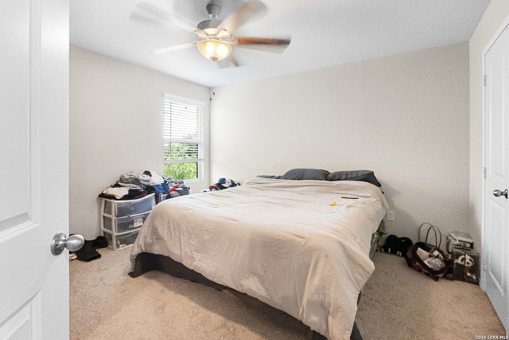 Picture 30