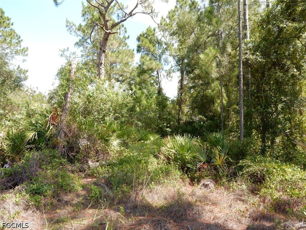Picture 6