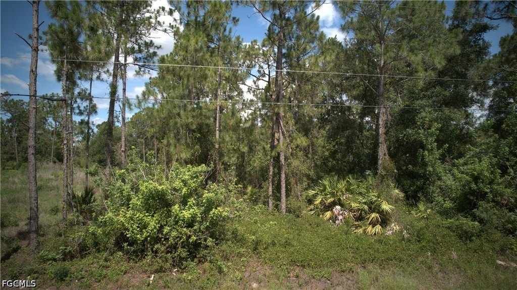 Picture 9