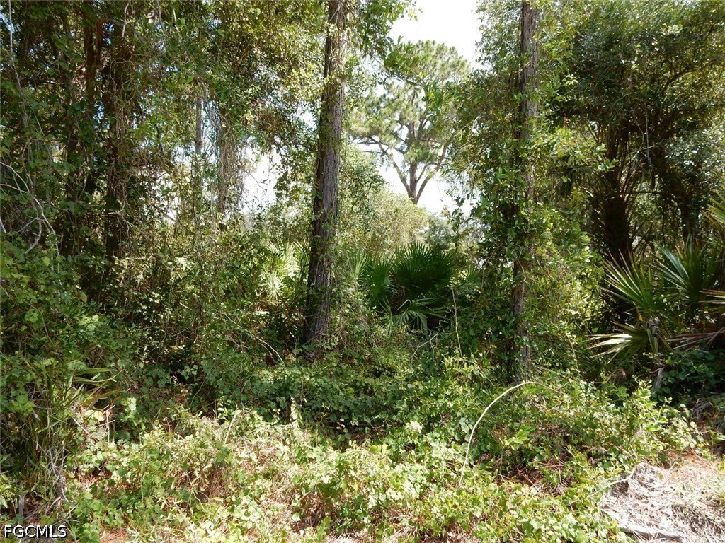 Picture 7