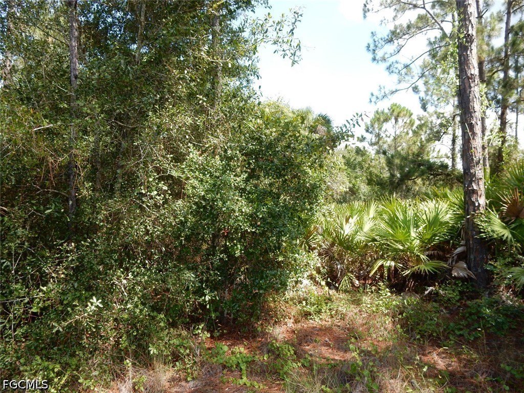 Picture 8