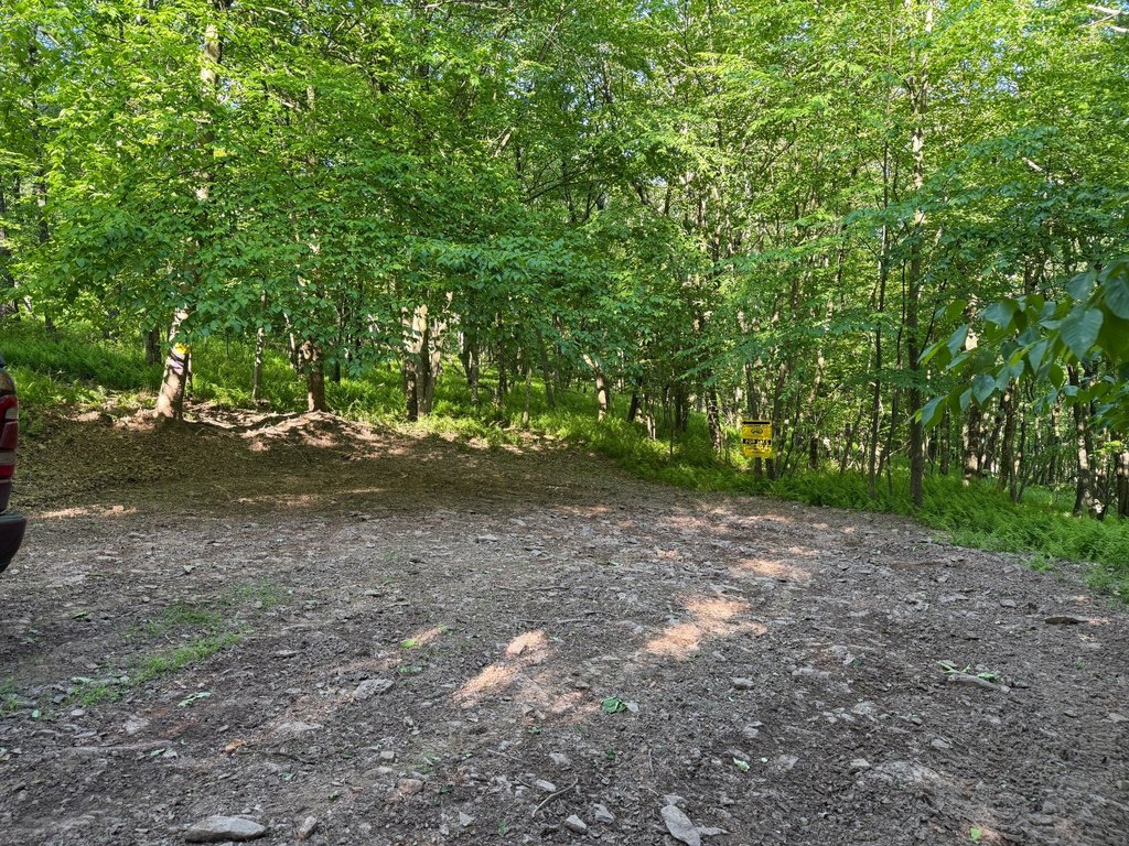 Picture 11