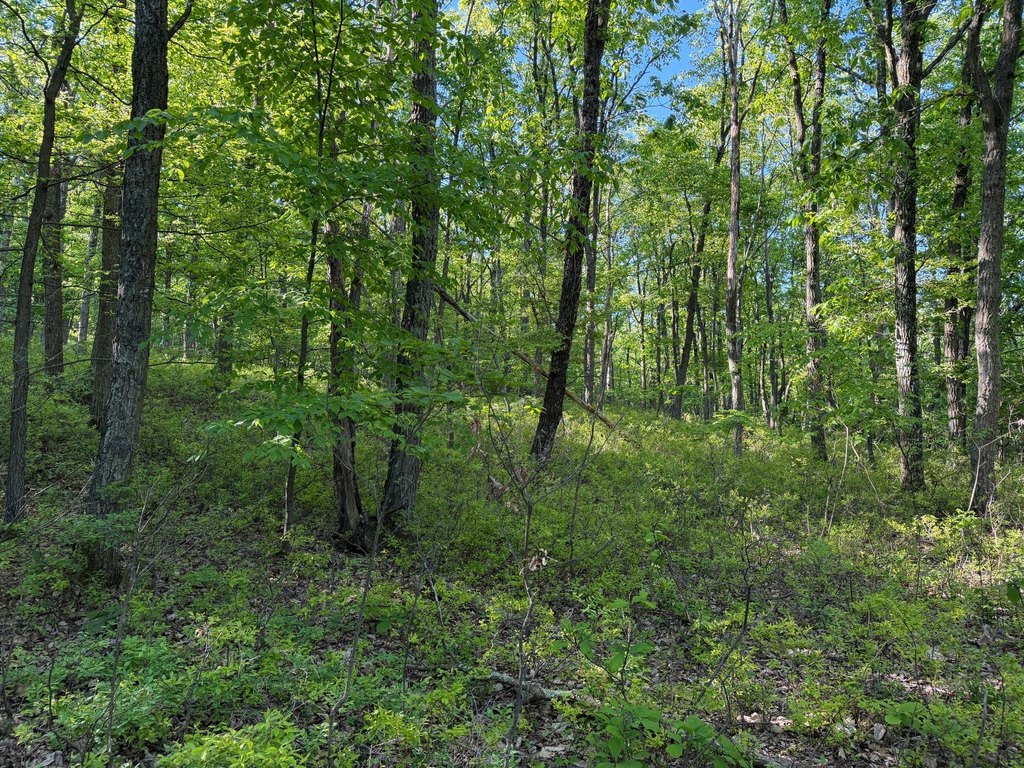 Picture 19