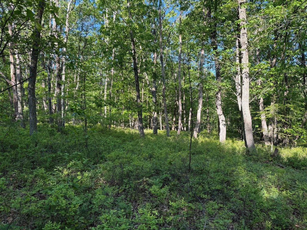 Picture 23