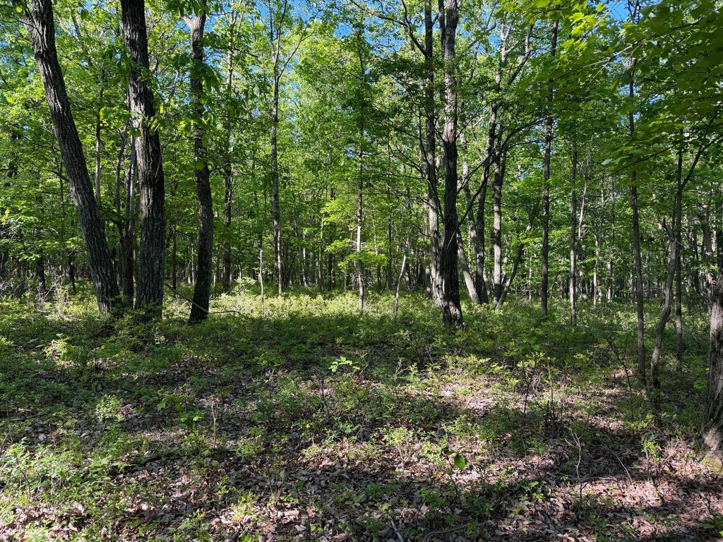 Picture 26