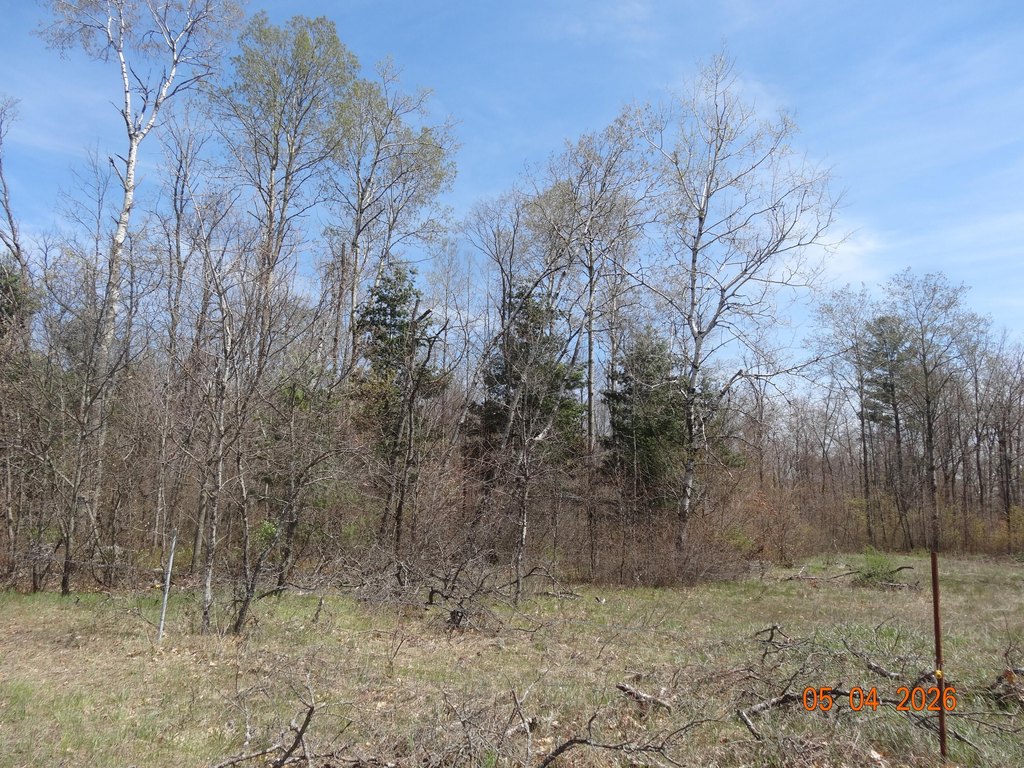 Picture 21