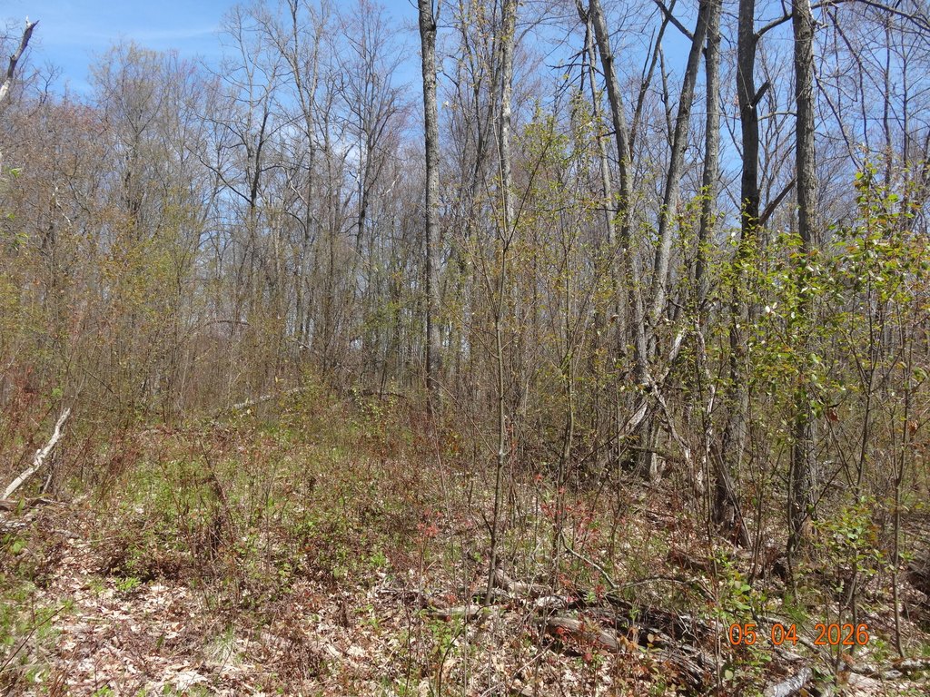 Picture 15