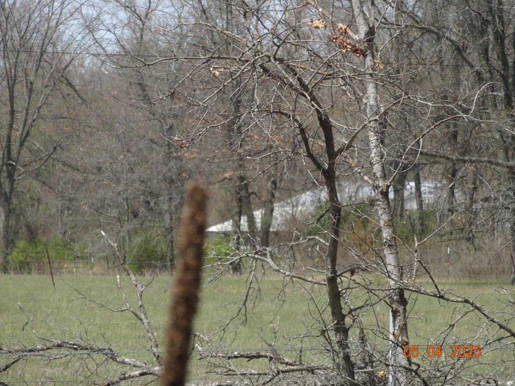 Picture 19