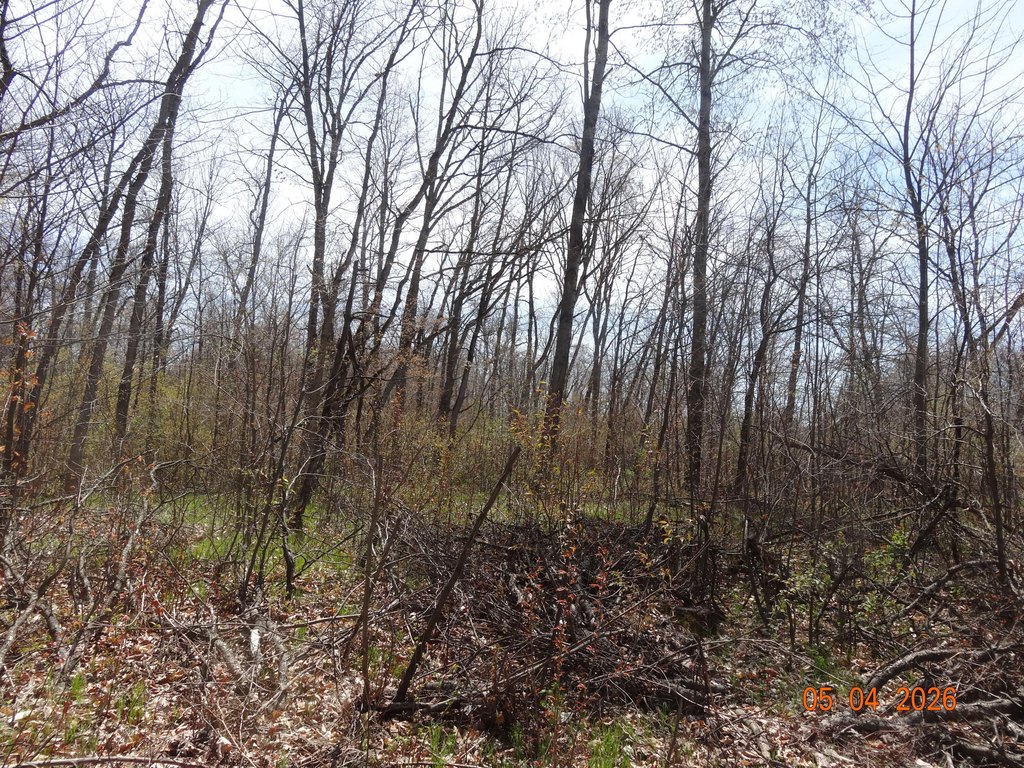 Picture 14