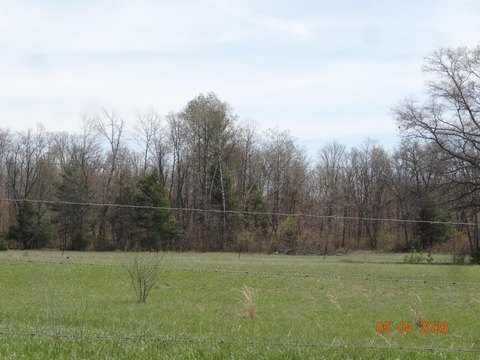9.27 Acres in White Cloud