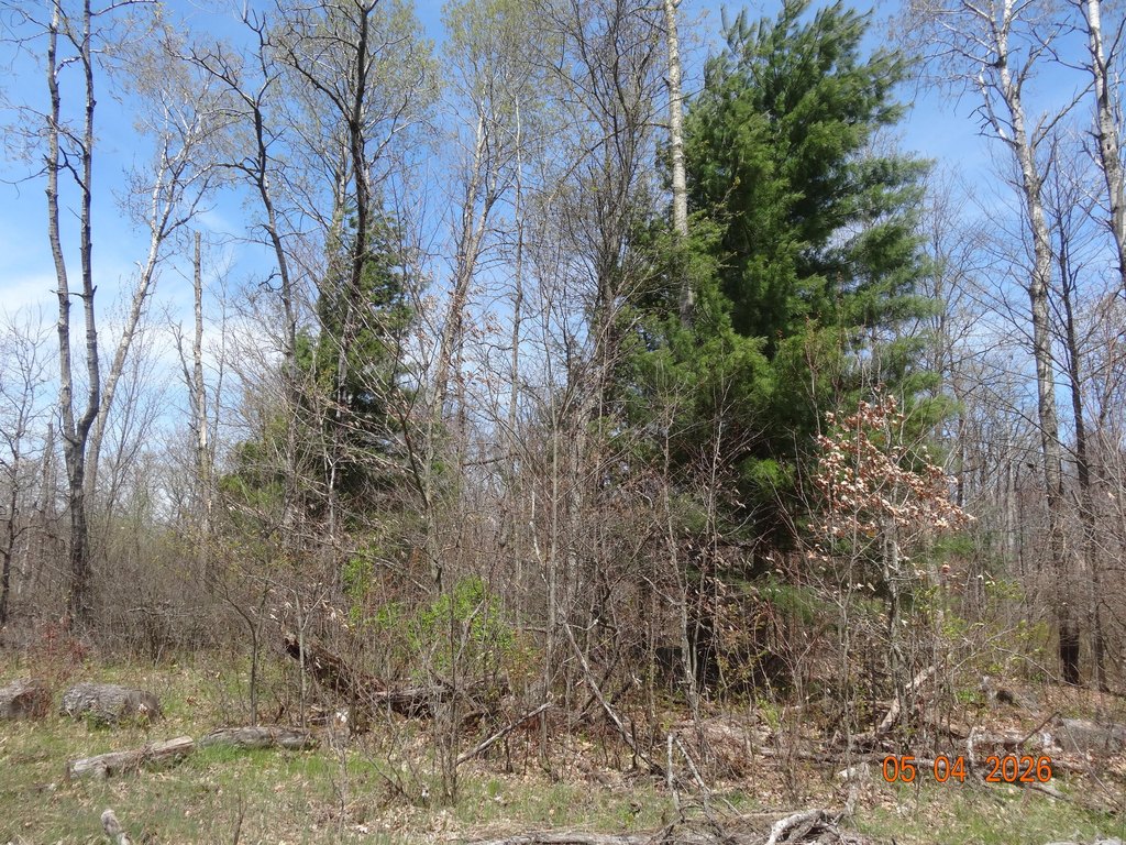 Picture 17