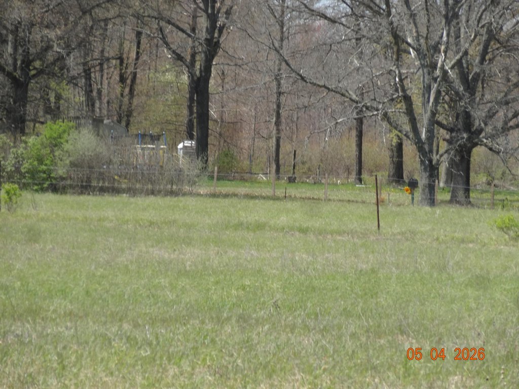 Picture 20