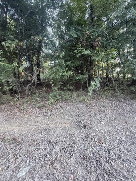 LAND - Mayflower, AR