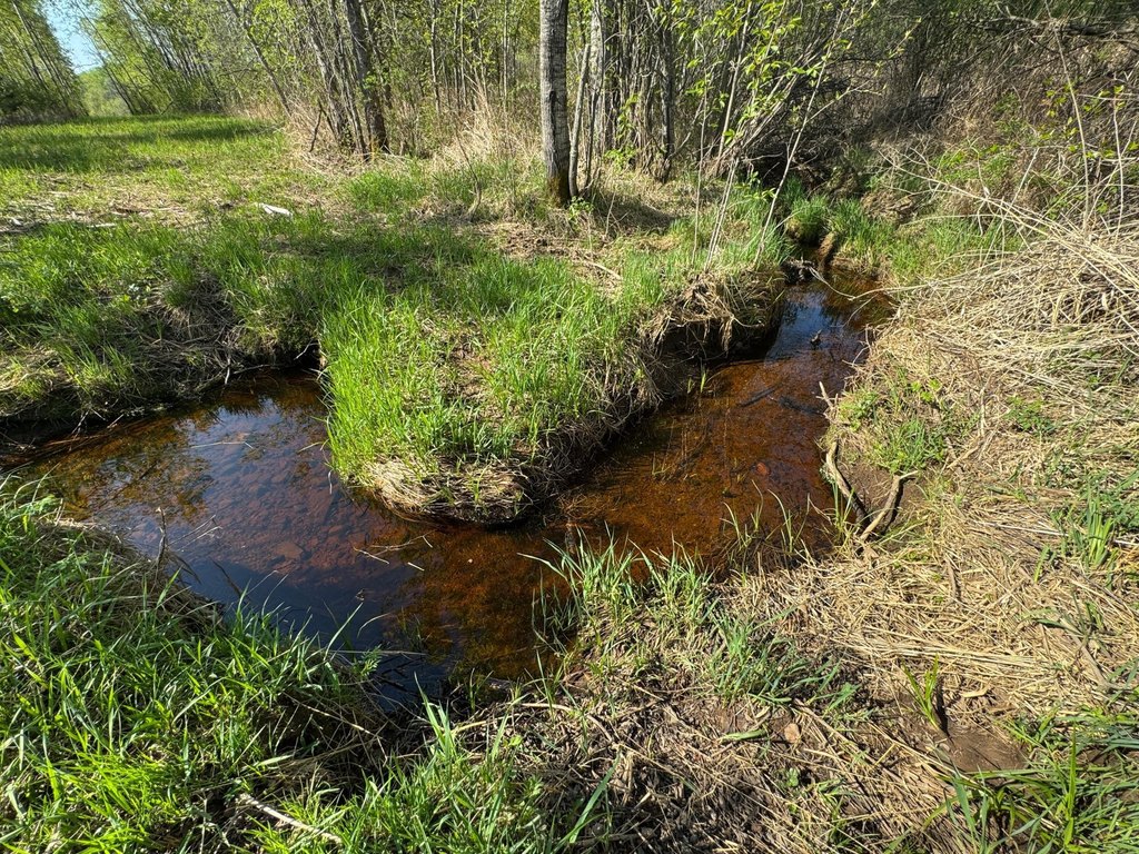 Picture 15