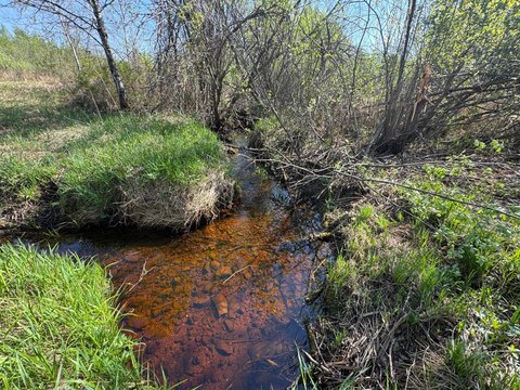 Recreational Hunting Land Tract
