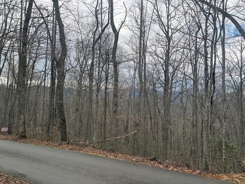 Franklin, NC Land with Views