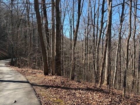 Franklin, NC Land with Views
