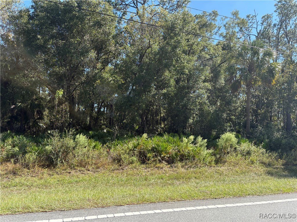 Crystal River Land Opportunity