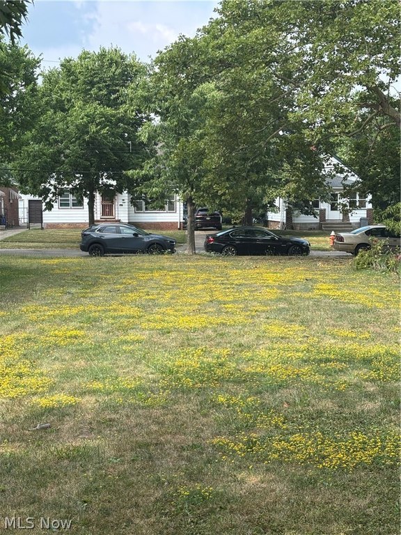 Picture 5