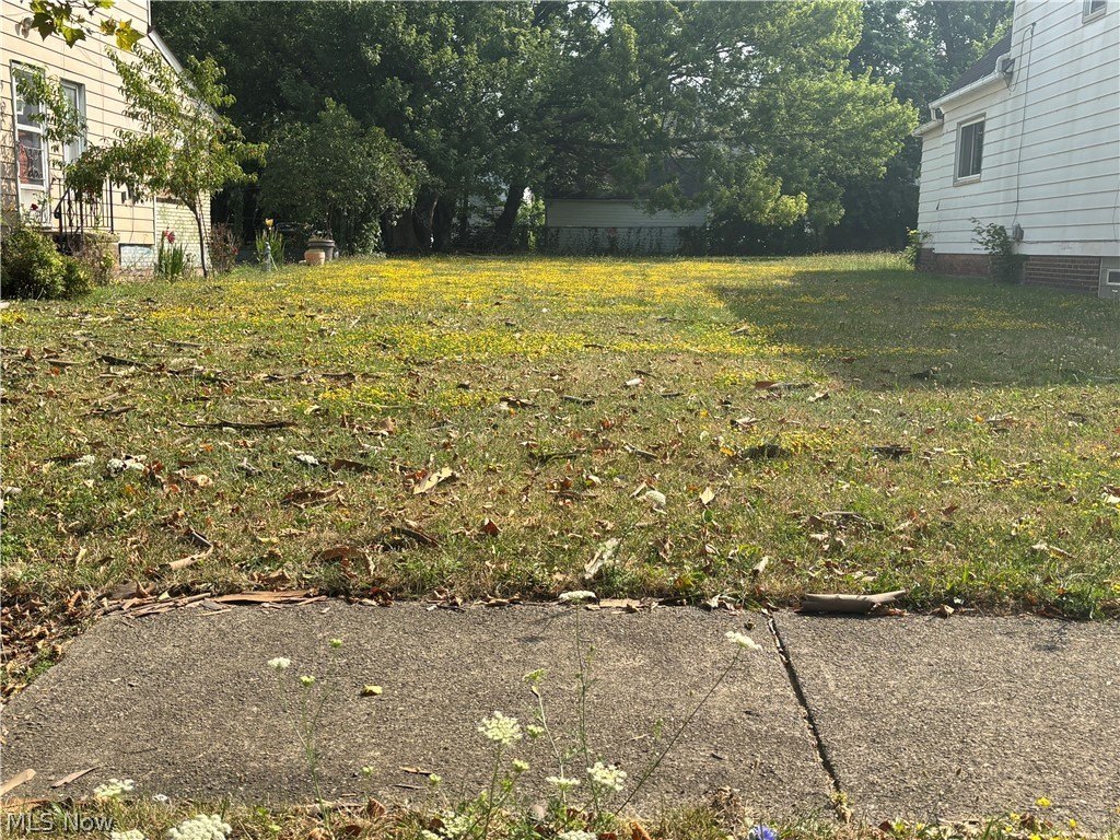 Picture 2
