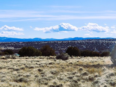Residential Lot in Concho, AZ