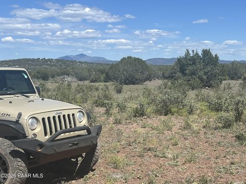 40 Acres in Ash Fork