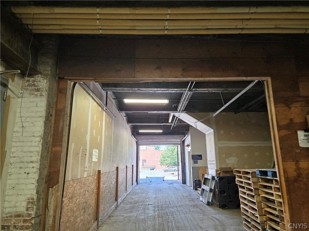 Picture 7