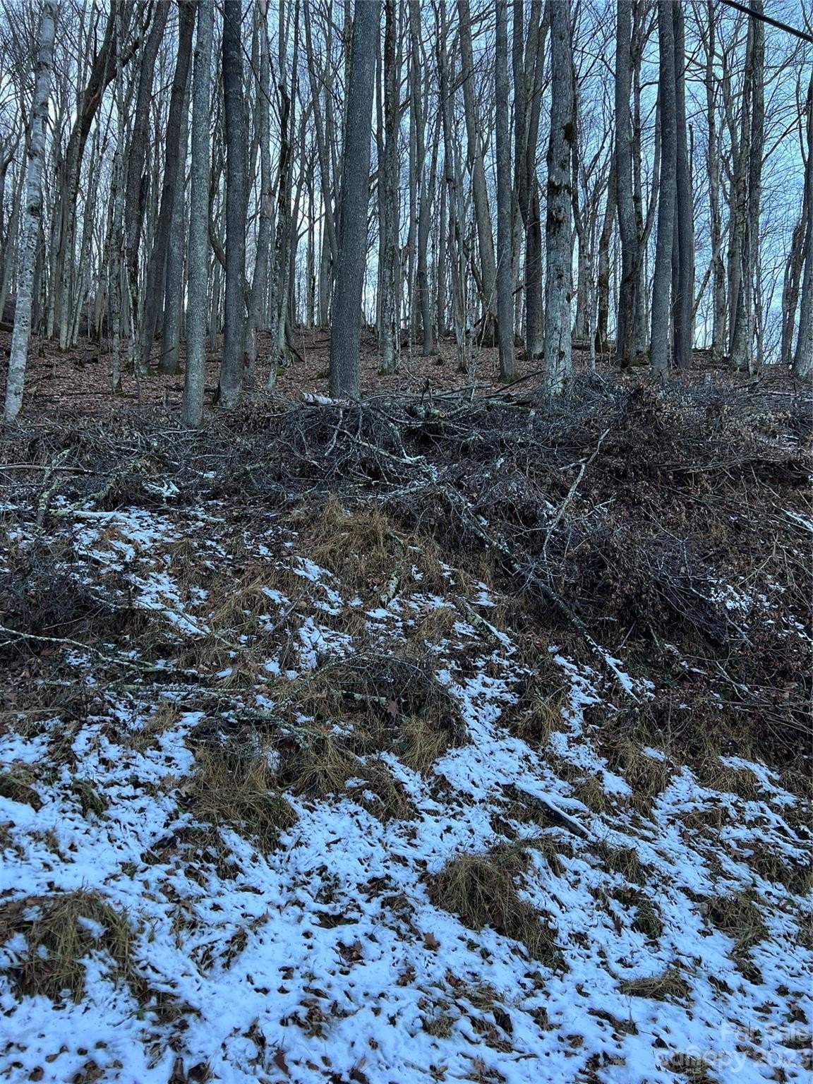 Land in Wolf Laurel Community