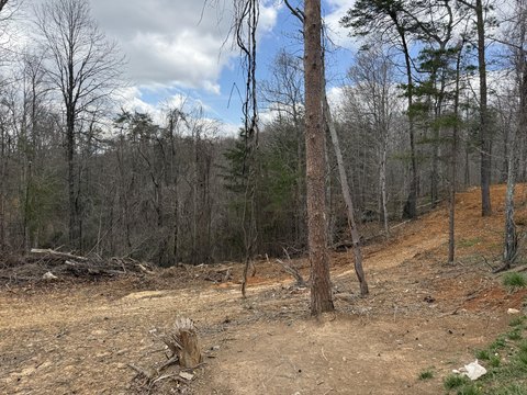Unrestricted Land Near Lake Cumberland