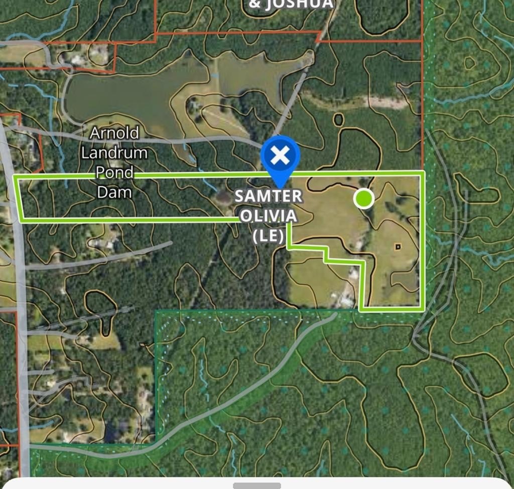 58.55 Acres Bordering National Forest