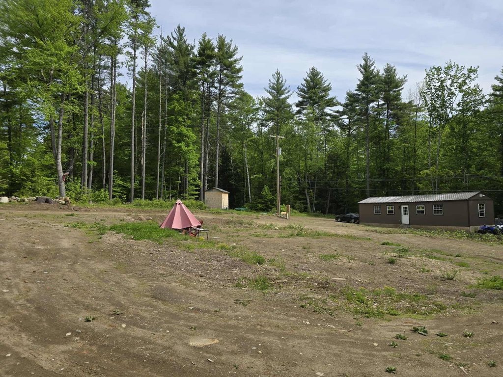 Picture 13