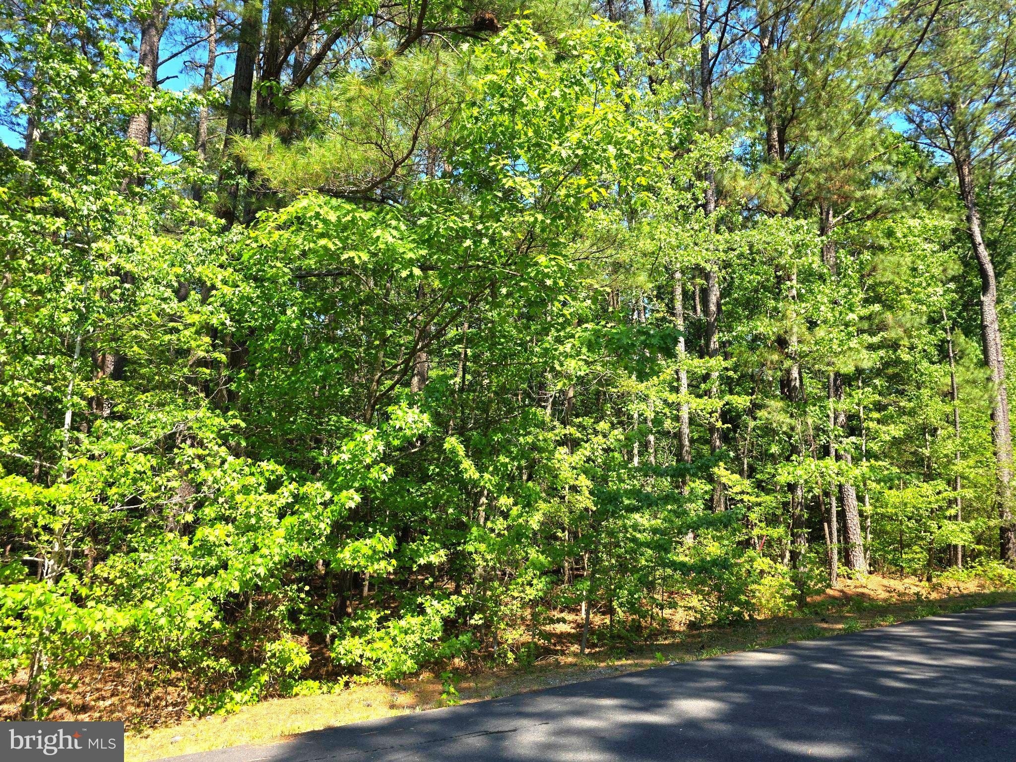 Land in Lake Caroline Community