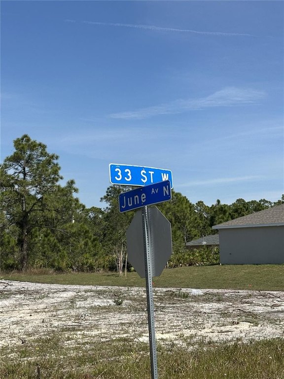 Picture 5