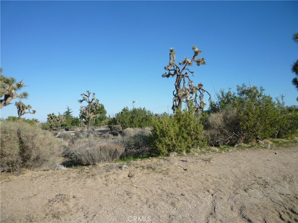 Picture 24
