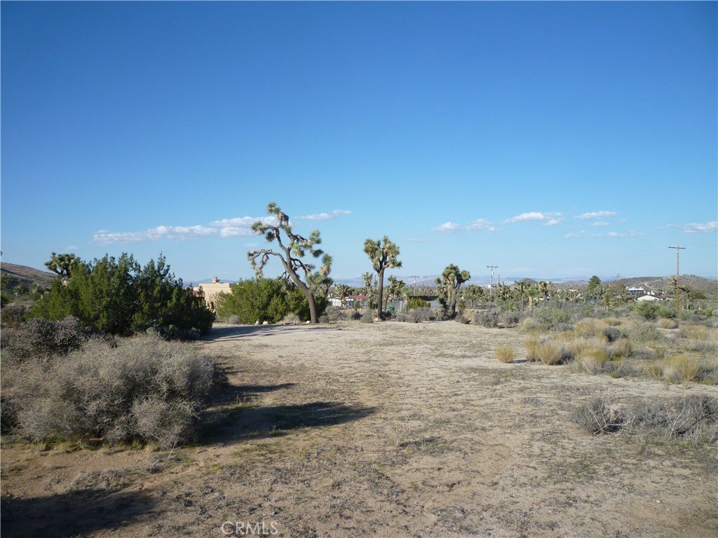 Picture 26