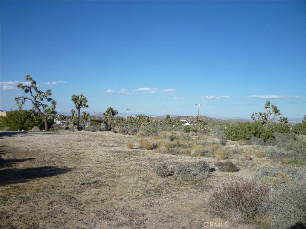 Picture 27