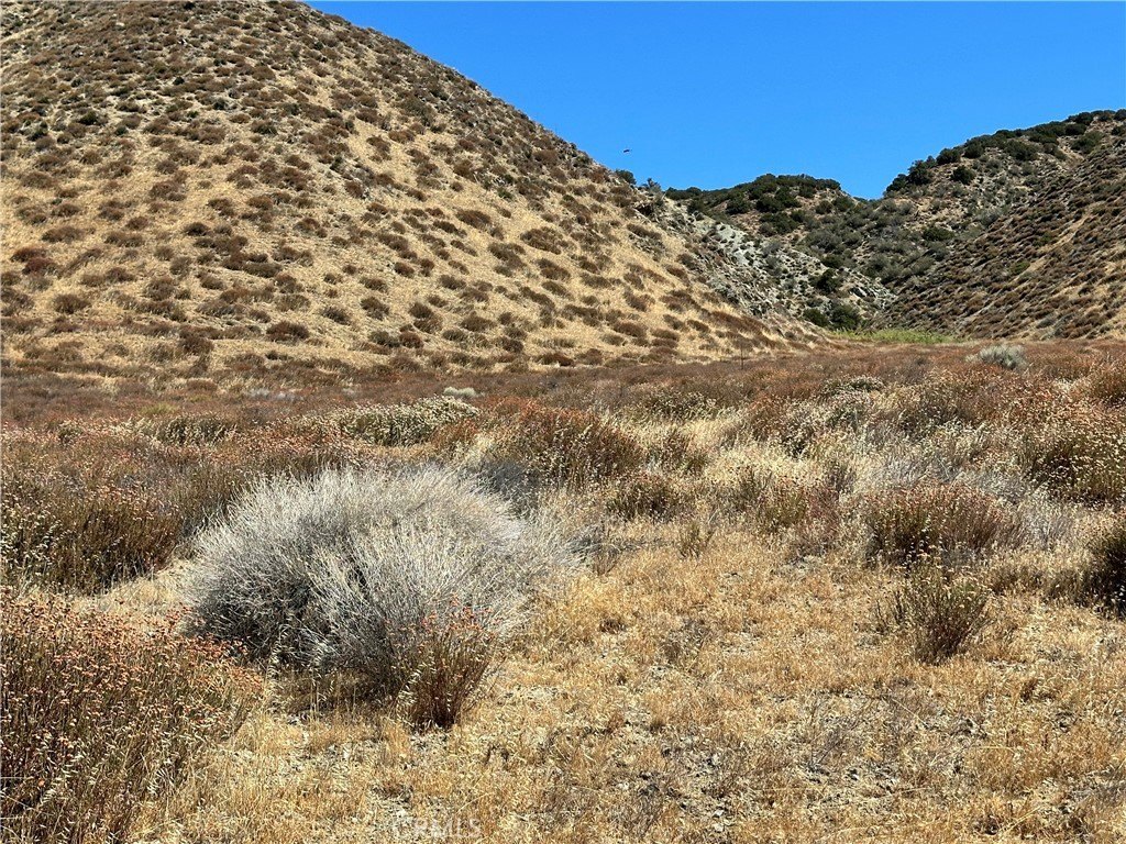 Picture 8