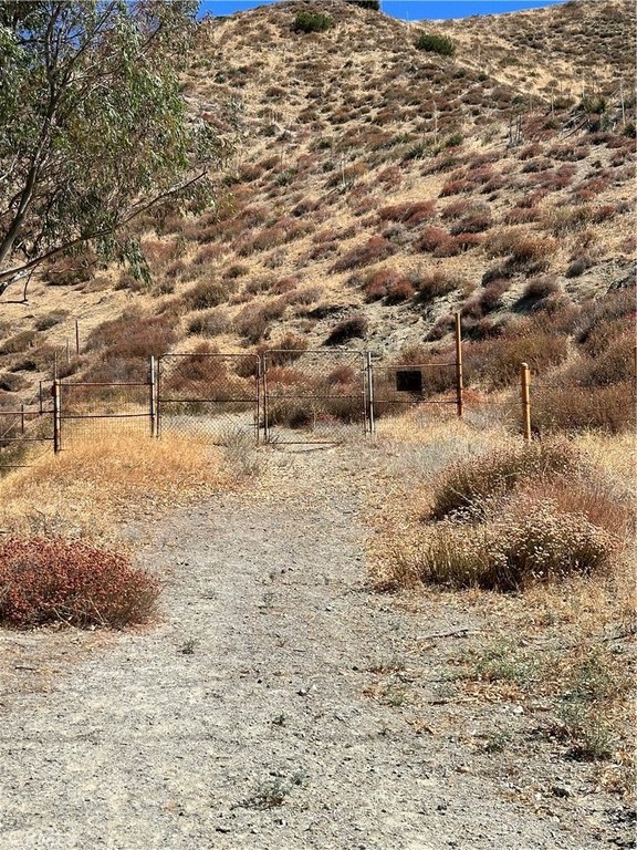 Picture 2