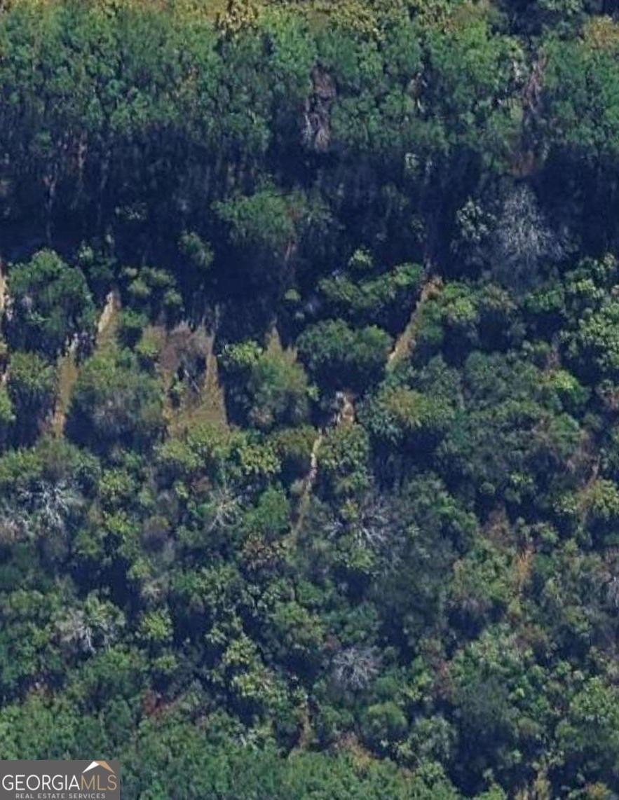 Wooded Parcel in Established Neighborhood