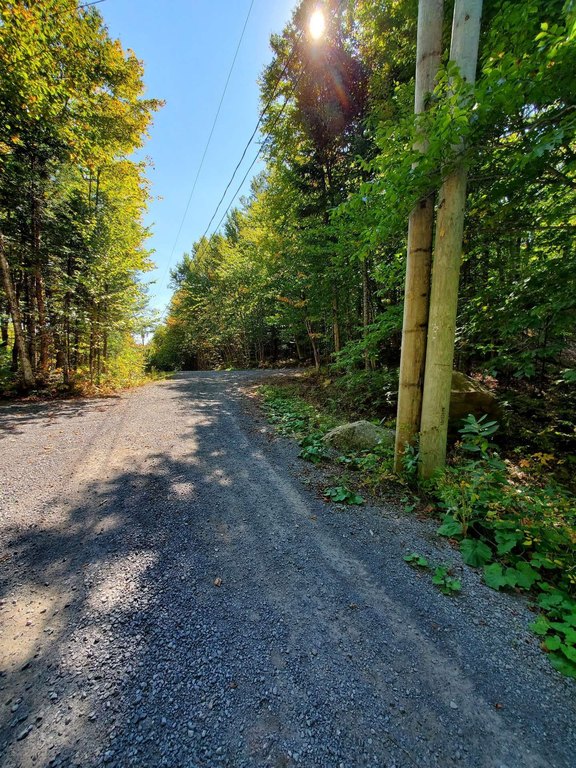 Picture 20