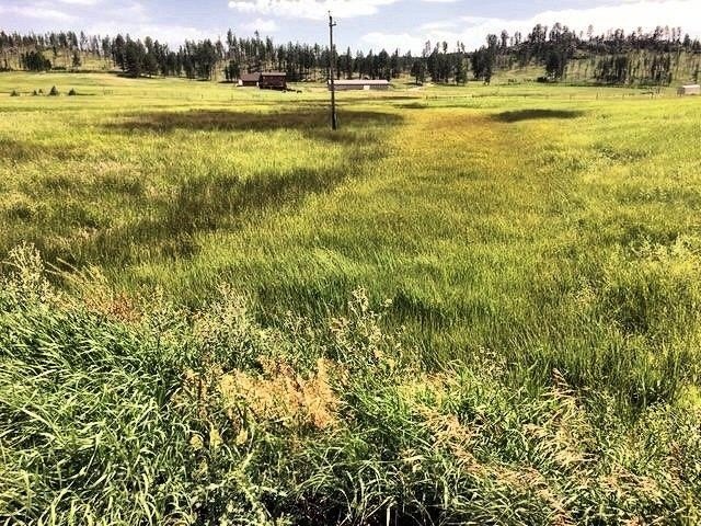5-Acre Horse Property Near USFS