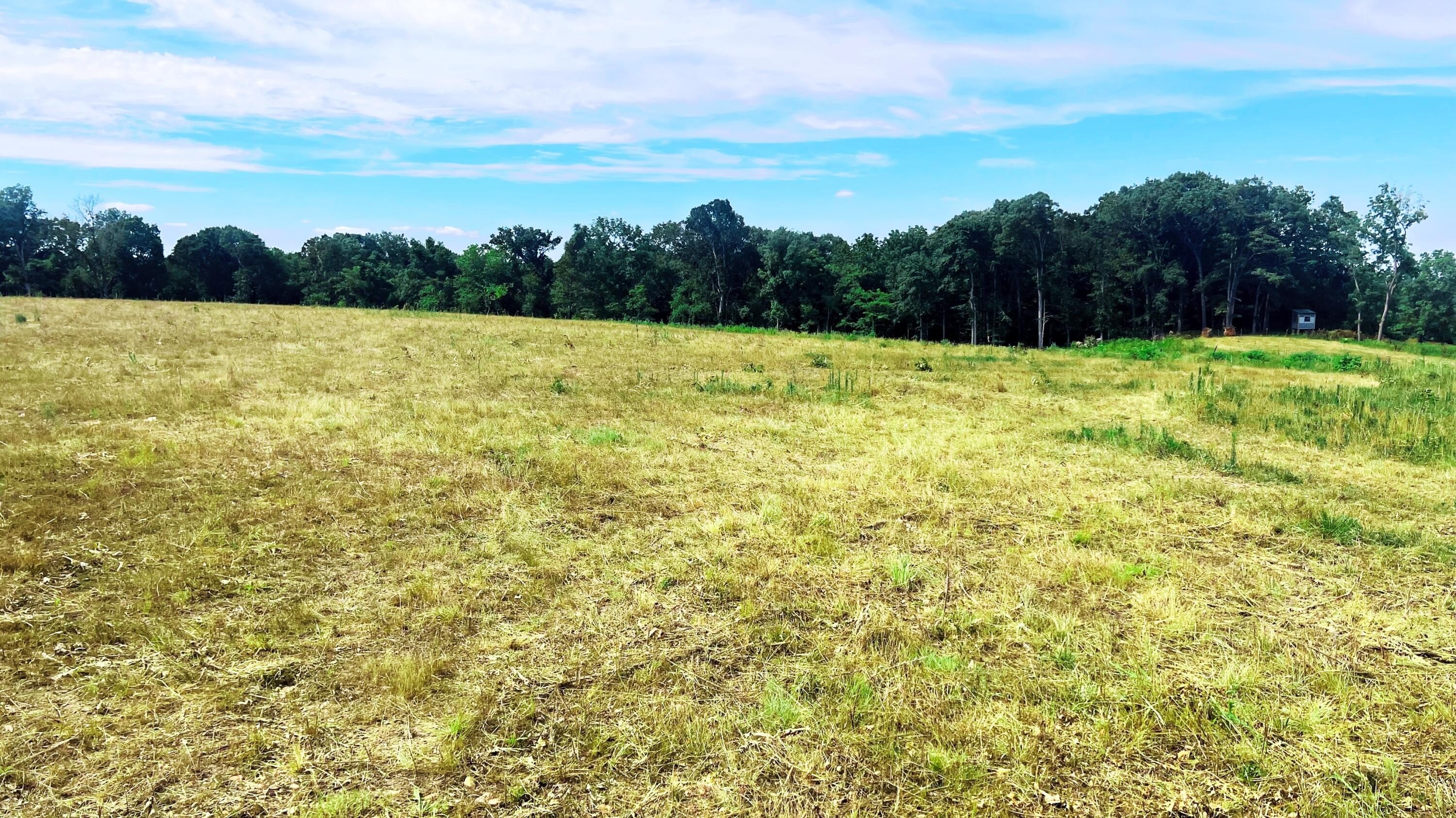 Exeter, MO Land For Sale