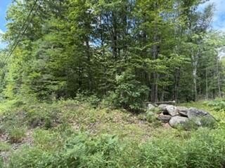 LAND - Lewiston, ME