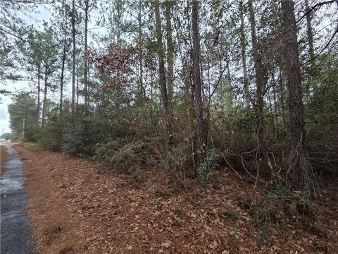 LAND - Chunchula, AL