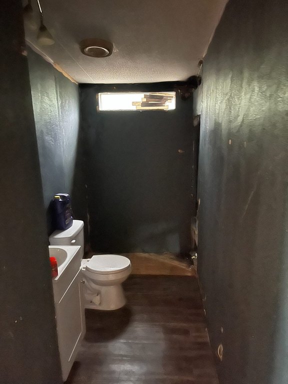 Picture 14