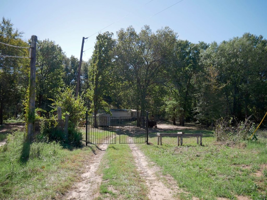 Picture 6